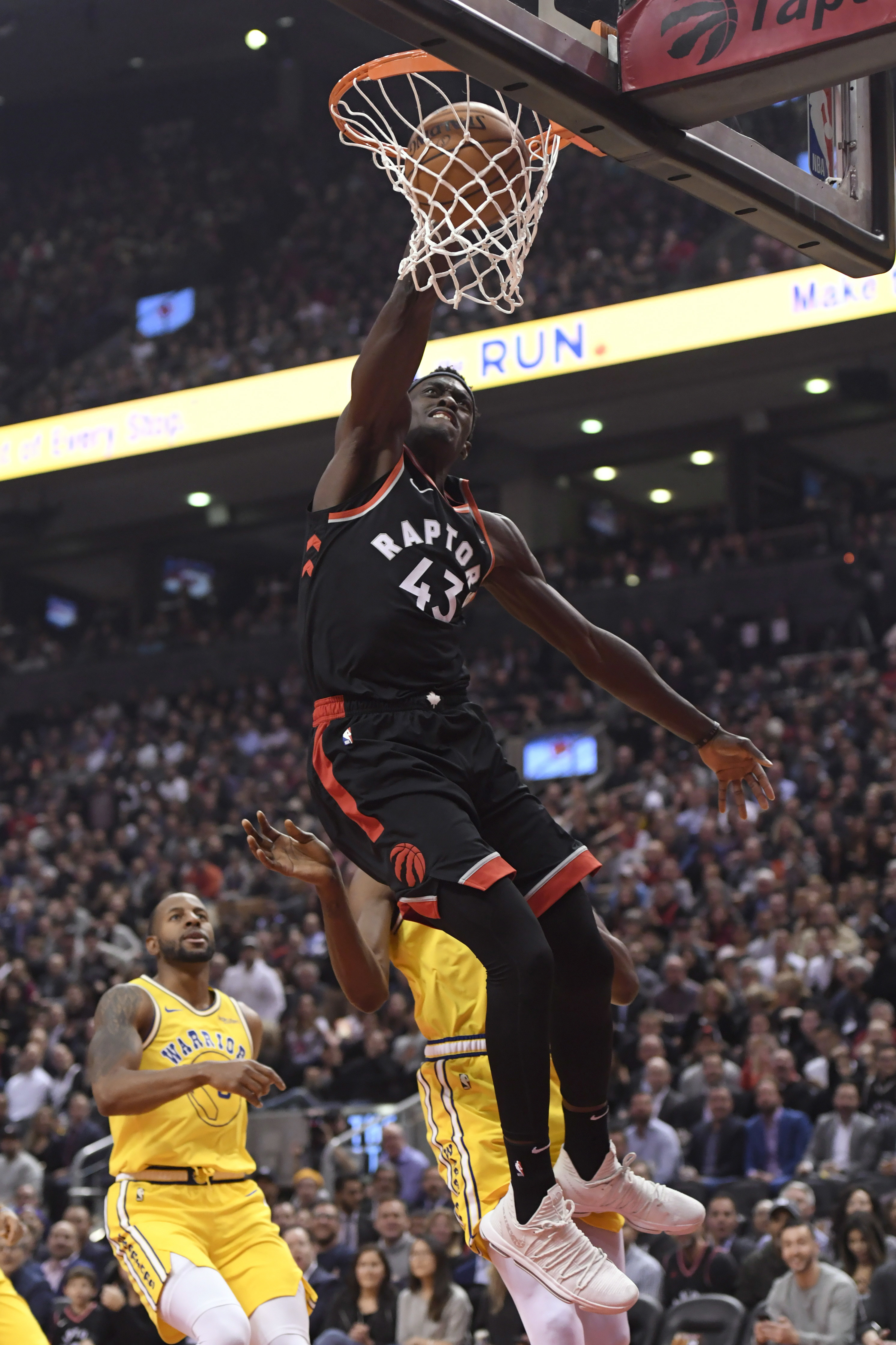 作为教练不 作为教练不