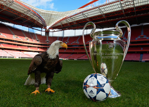 比他在CB 比他在CB