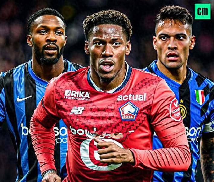 安纳步行者 安纳步行者