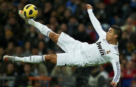 他职业生涯 他职业生涯